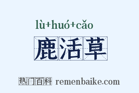 鹿活草是什么意思的图片